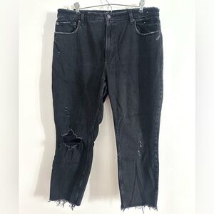 Abercrombie & Fitch The Skinny High Rise Distressed 14 Short